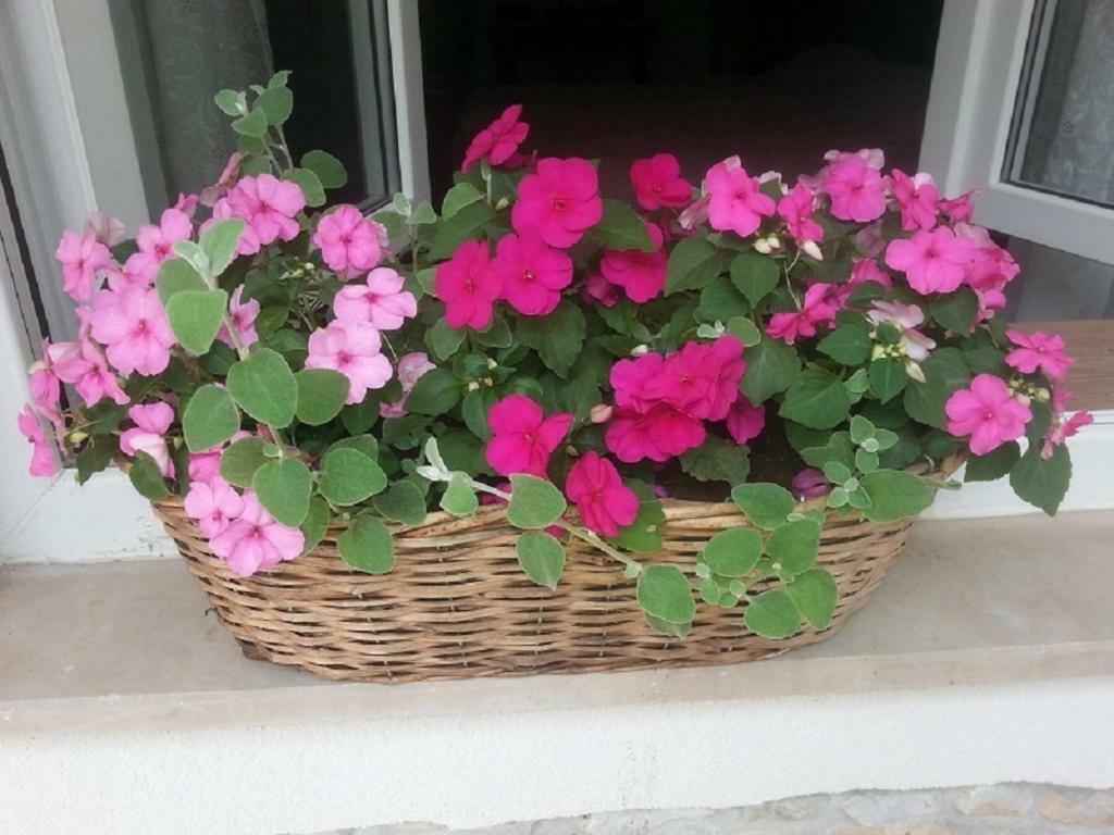 Rosa Apartman Crikvenica Esterno foto